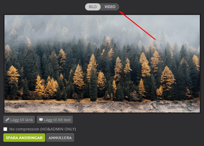 Screenshot_139.jpg