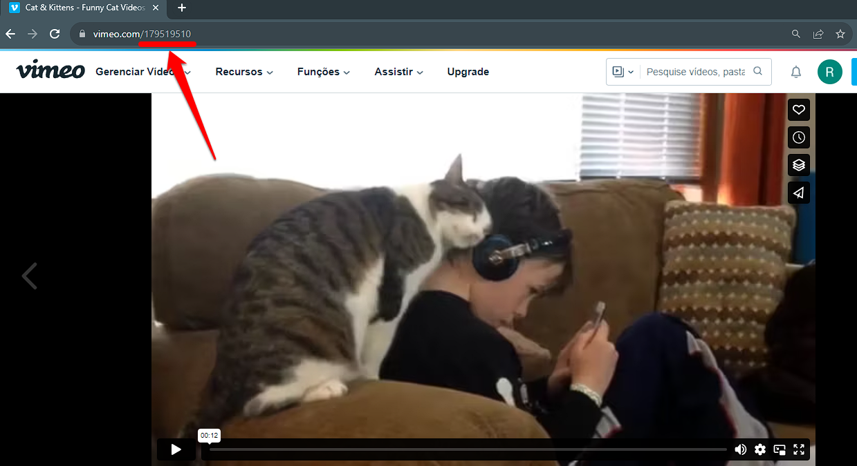 pt1.png