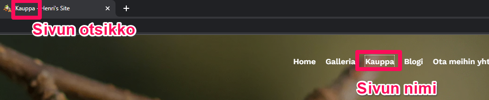 mceclip6.png