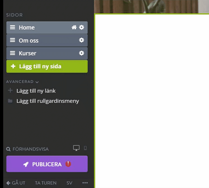 chrome-capture__7_.gif